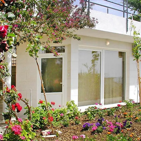 Nada - Cdm05024-dyb Podgora (Split-Dalmatia)