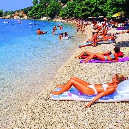 Nada - Cdm05024-dyb Podgora (Split-Dalmatia)
